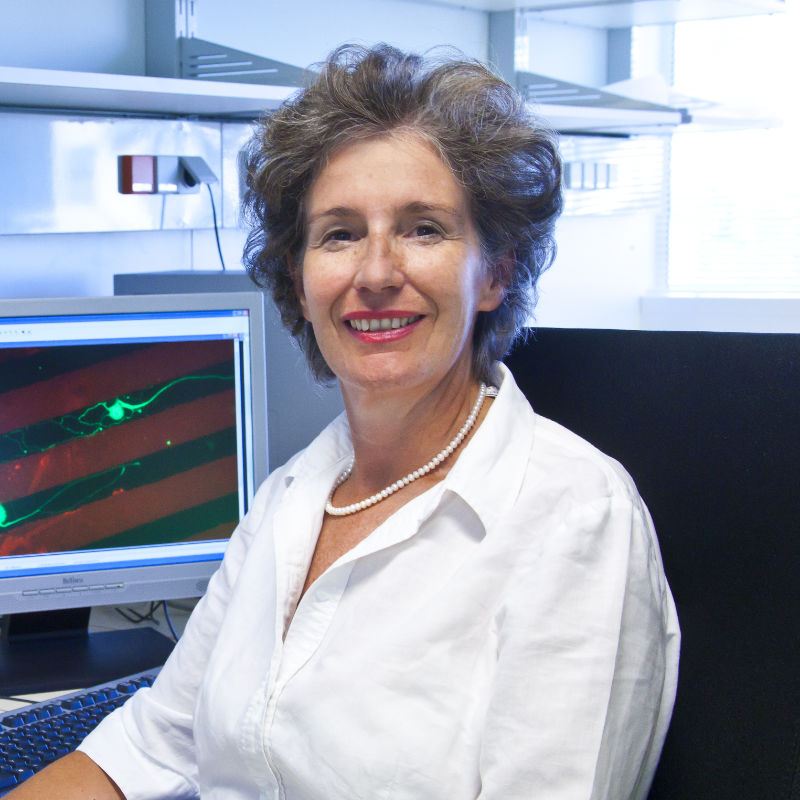 Christine Bandtlow